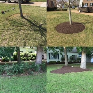 Elevate your lawn care routine with strategic mulch installation