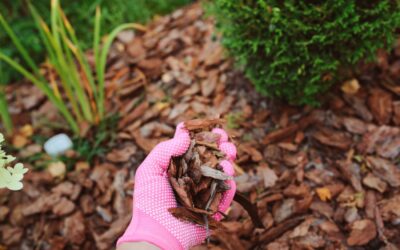 Meaningful Mulch – 10 Reasons Mulch Should Be Next on Your To-Do List!