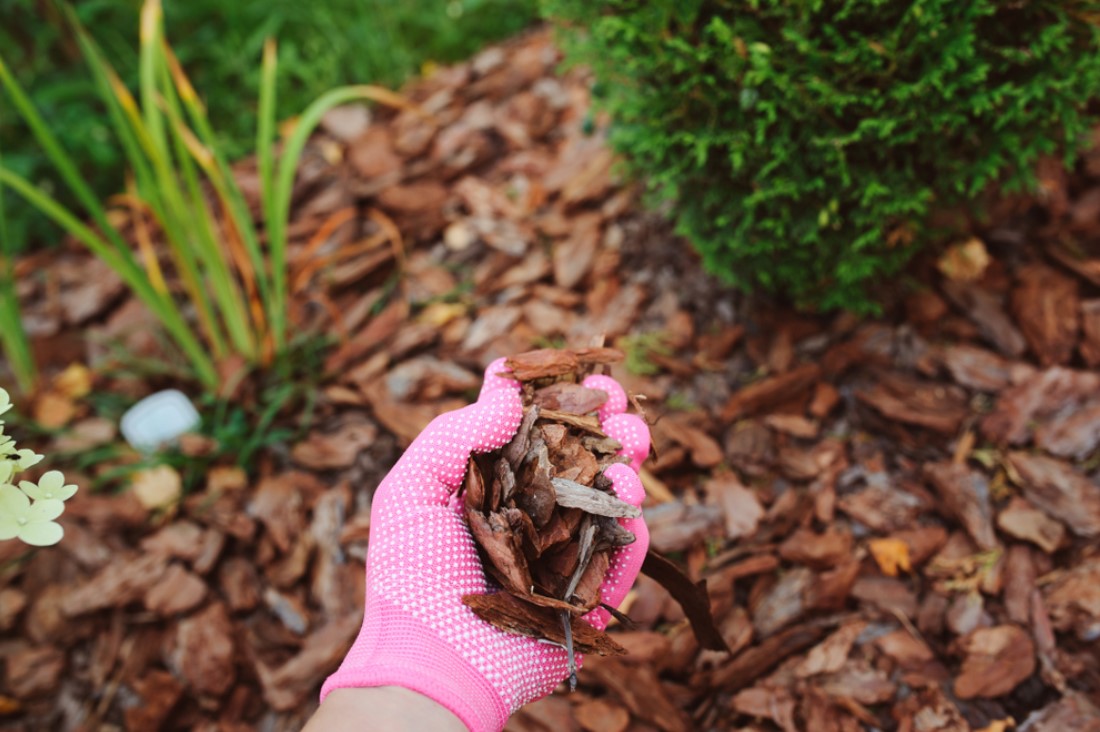 MEANINGFUL MULCH – 10 REASONS MULCH SHOULD BE NEXT ON YOUR TO-DO LIST!