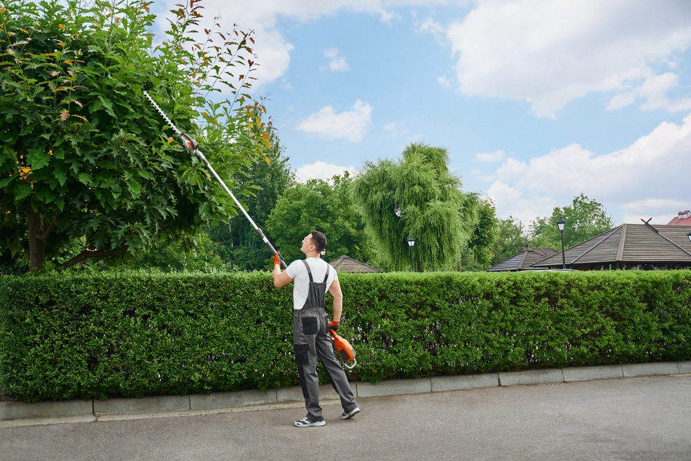 Little Known Facts about Trimming and Pruning