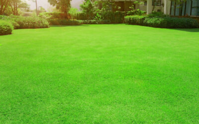  7 Key Benefits That Unlock Your Lawn’s Potential