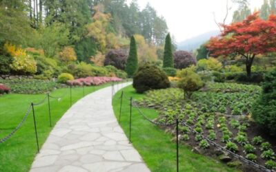 The “It” Factor for Your Landscape