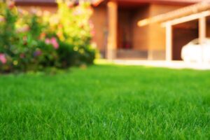 lawn maintenance in Midlothian