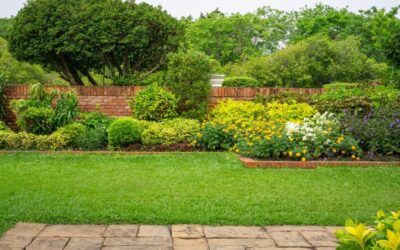 Lawn Maintenance is Hands-Down The Heart of Your Landscape