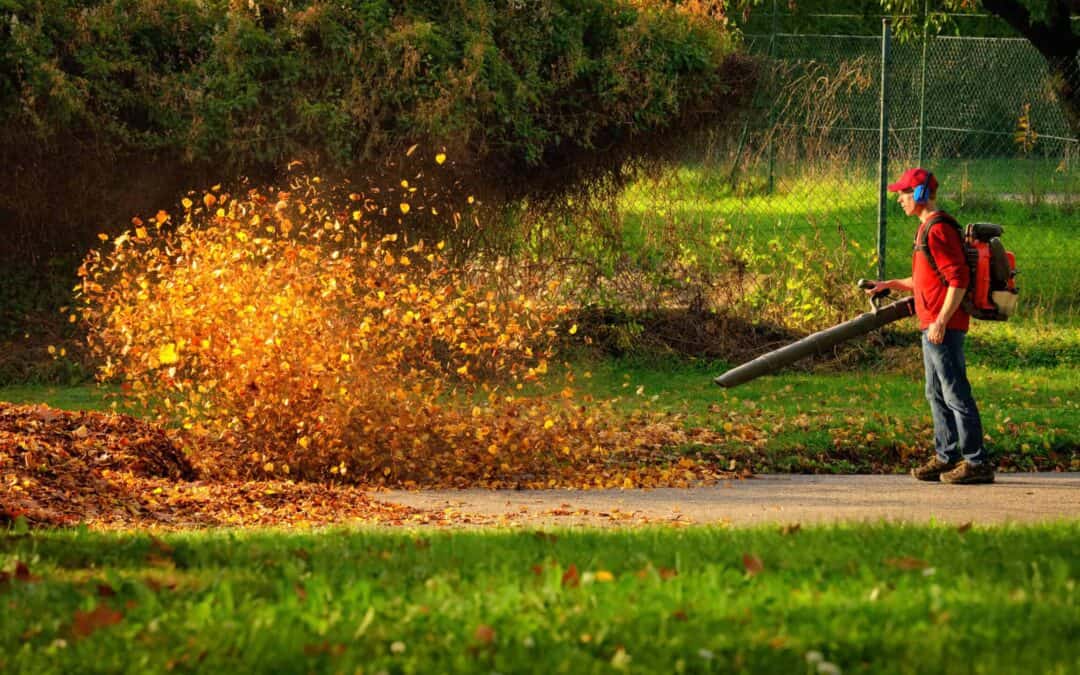 Leaf the Cleaning to the Pros