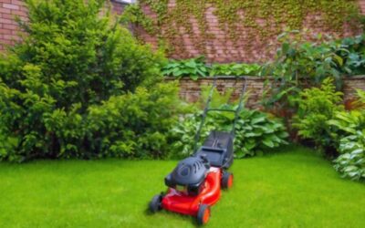 Spring Is Here, and Lawn Maintenance Has Sprung