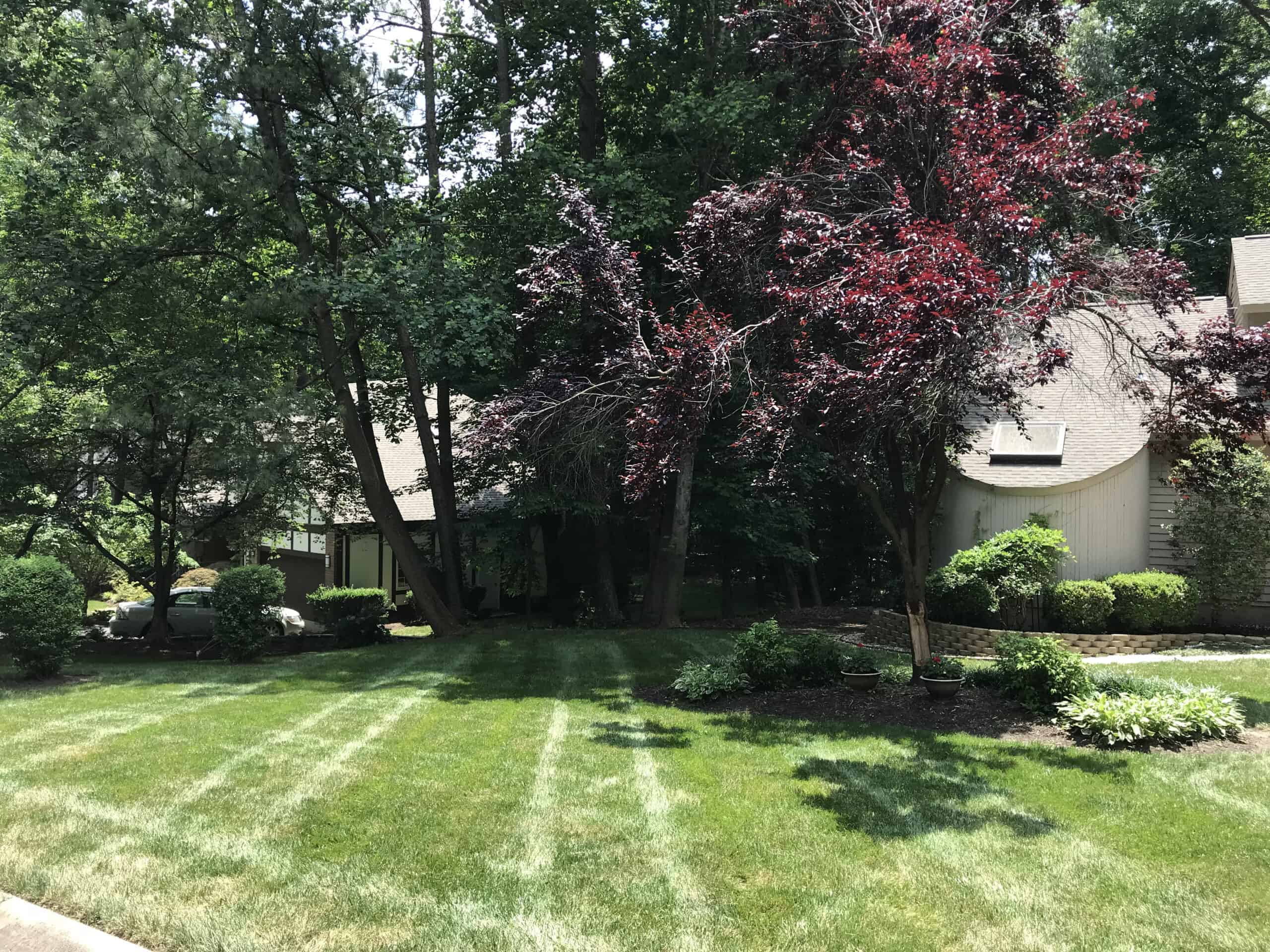 Green, clean residential backyard in Midlothian