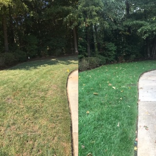 Before and after image of dying lawn versus green lawn in Midlothian