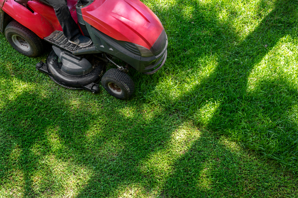 EKG offers lawn maintenance in Midlothian, Moseley, and Chesterfield, Virginia