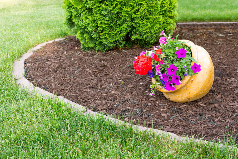 Mulch Love to Our Gardens