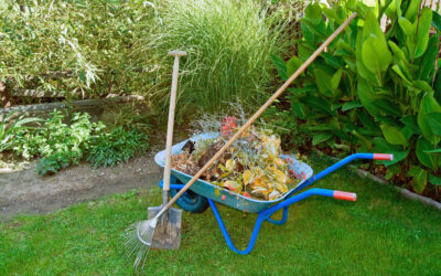 Have You Cleaned Up Your Landscape Yet?