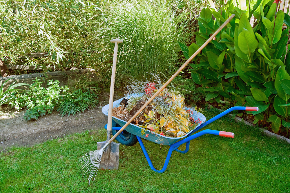 Have You Cleaned Up Your Landscape Yet?