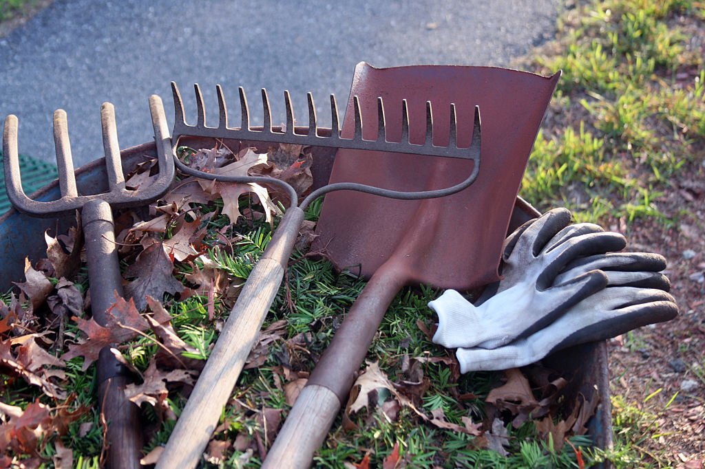 shovel, rake, and gloves on the ground during landscape cleanup 