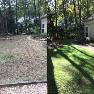 Before and after aeration