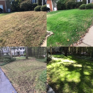 Need property maintenance? EKG Lawn Services offers Midlothian and Chesterfield residents premium lawn maintenance and landscaping services! Call today!