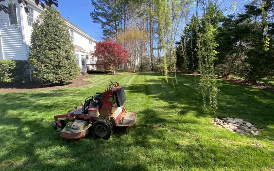 Lawn Maintenance Hacks: Tips for the Busy Homeowners