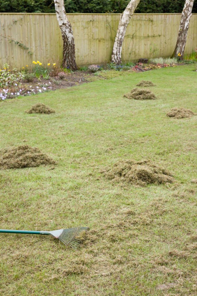 Thatch removal in tandem with aeration service