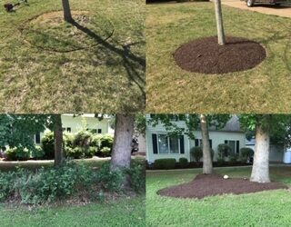 Seasonal Mulching: Facts and Tips For Virginia Homeowners