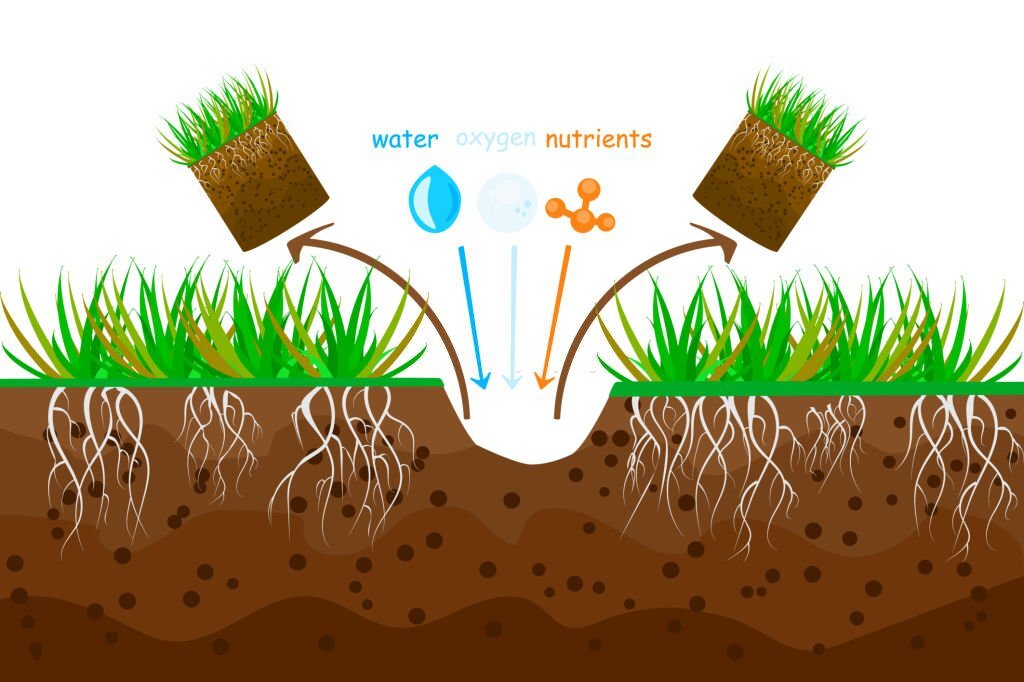 Aeration process