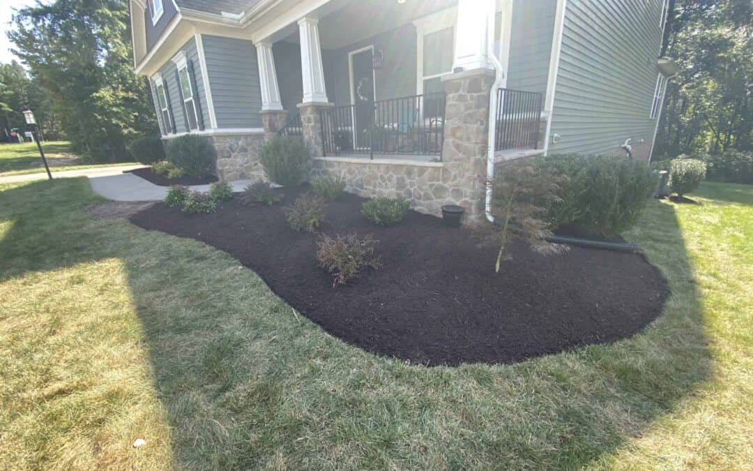 The Difference Mulch Can Make