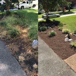 The Transformative Power of Mulch