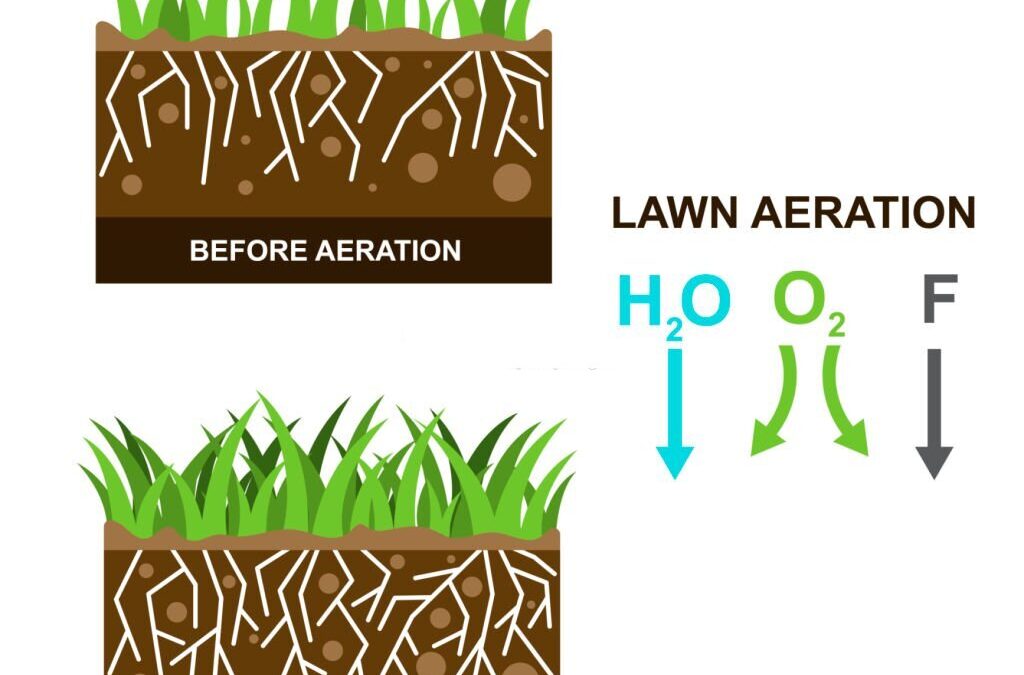 Aeration Breakdown: Understanding the Core Benefits