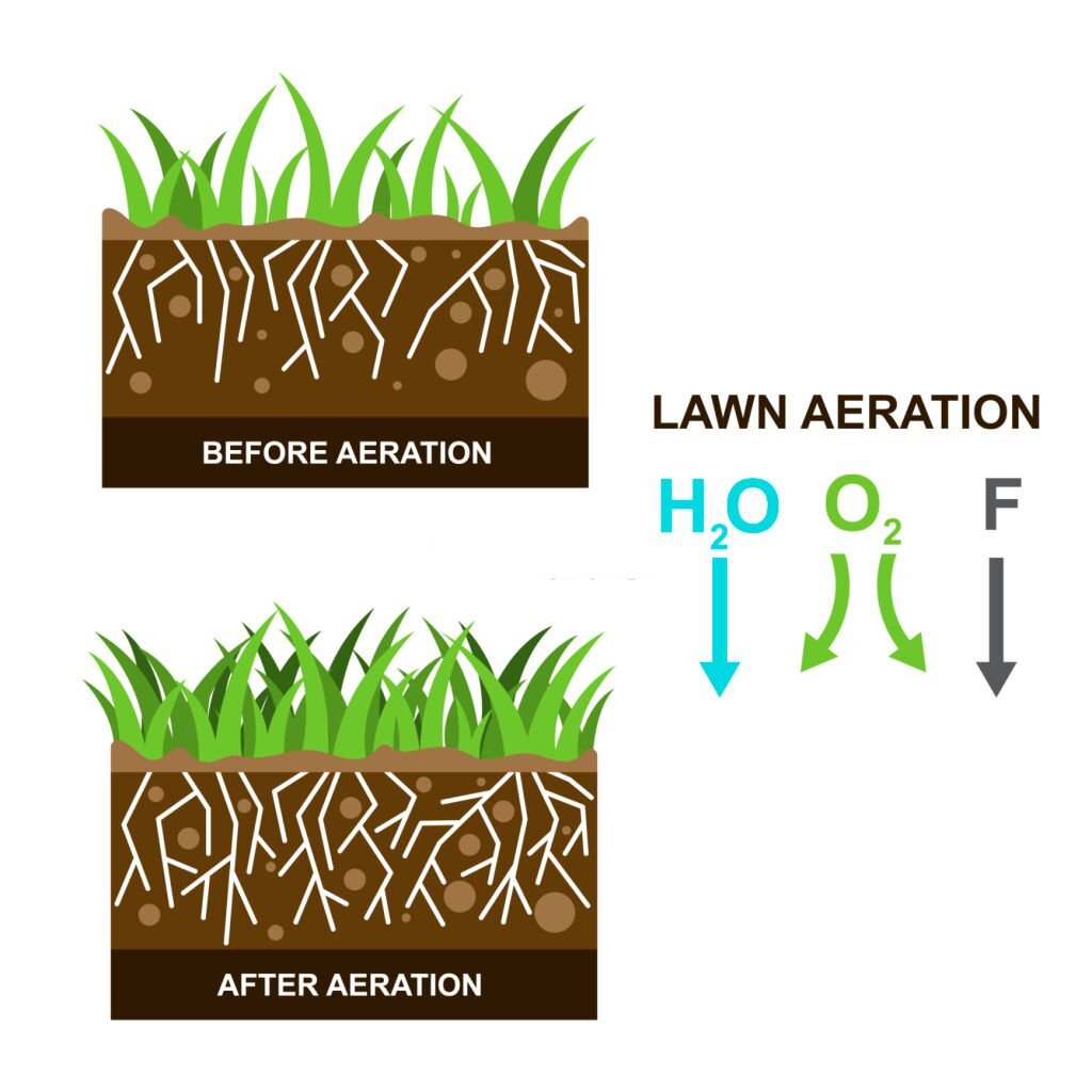 Aeration Breakdown: Understanding the Core Benefits