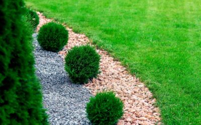 Mistakes to Avoid When Installing New Plants in Your Yard