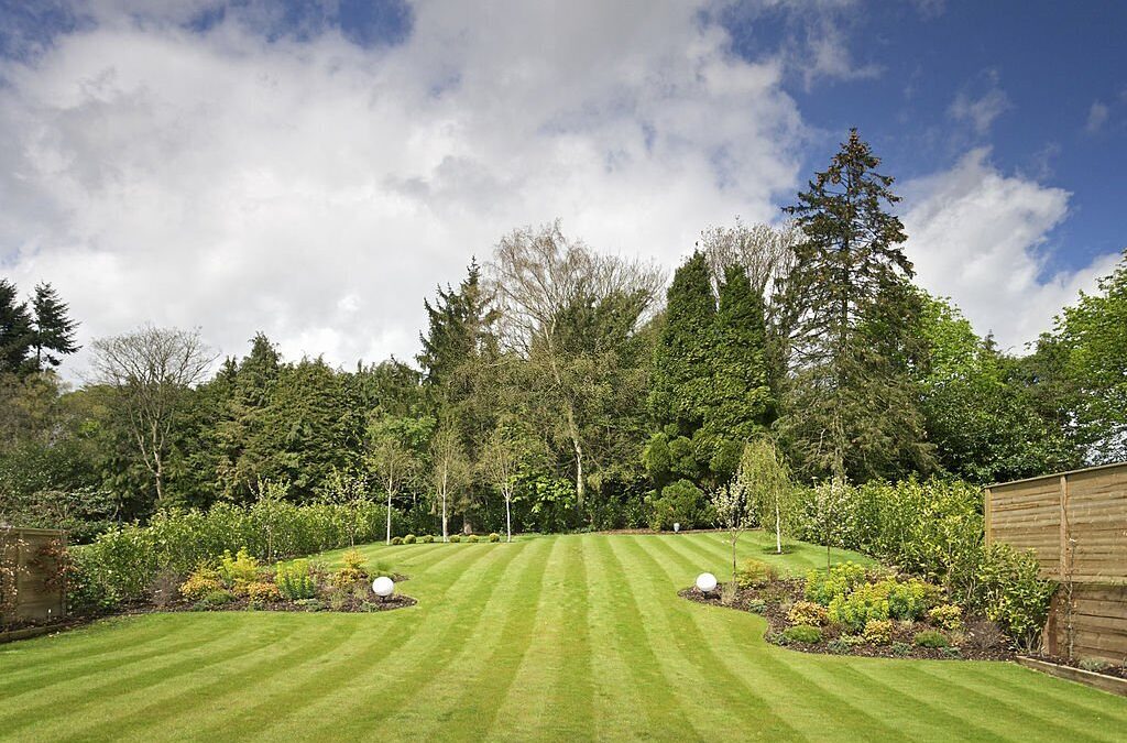 Creating a Practical Lawn Maintenance and Mowing Schedule