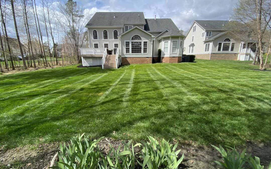 The Importance of Lawn Care for Every Home