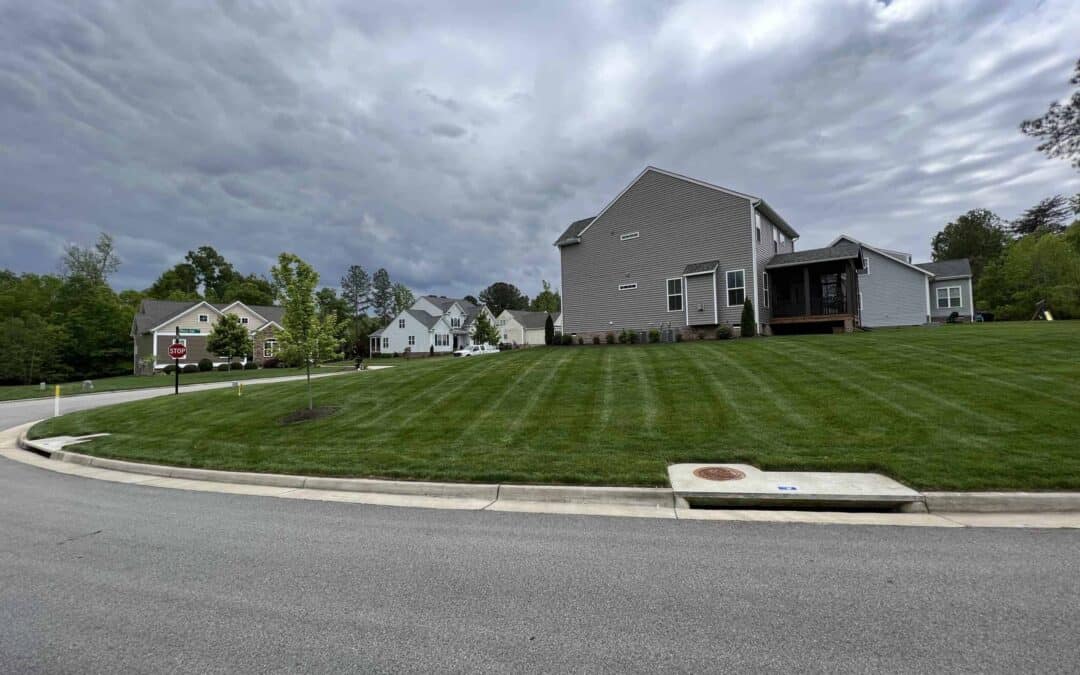 The Art of Lawn Maintenance: A Neighborly Affair in Virginia