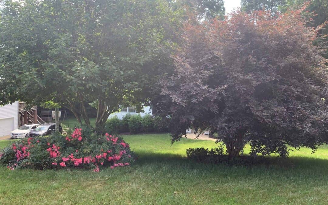 Integrating Shrub Maintenance Into Your Landscaping Routine