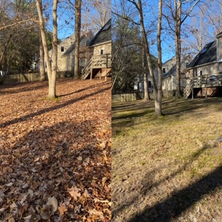 Schedule comprehensive leaf cleanups to improve curb appeal in Midlothian