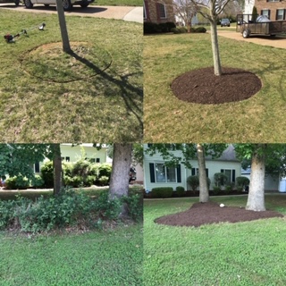 Transforming Your Lawn: The Power of Mulch