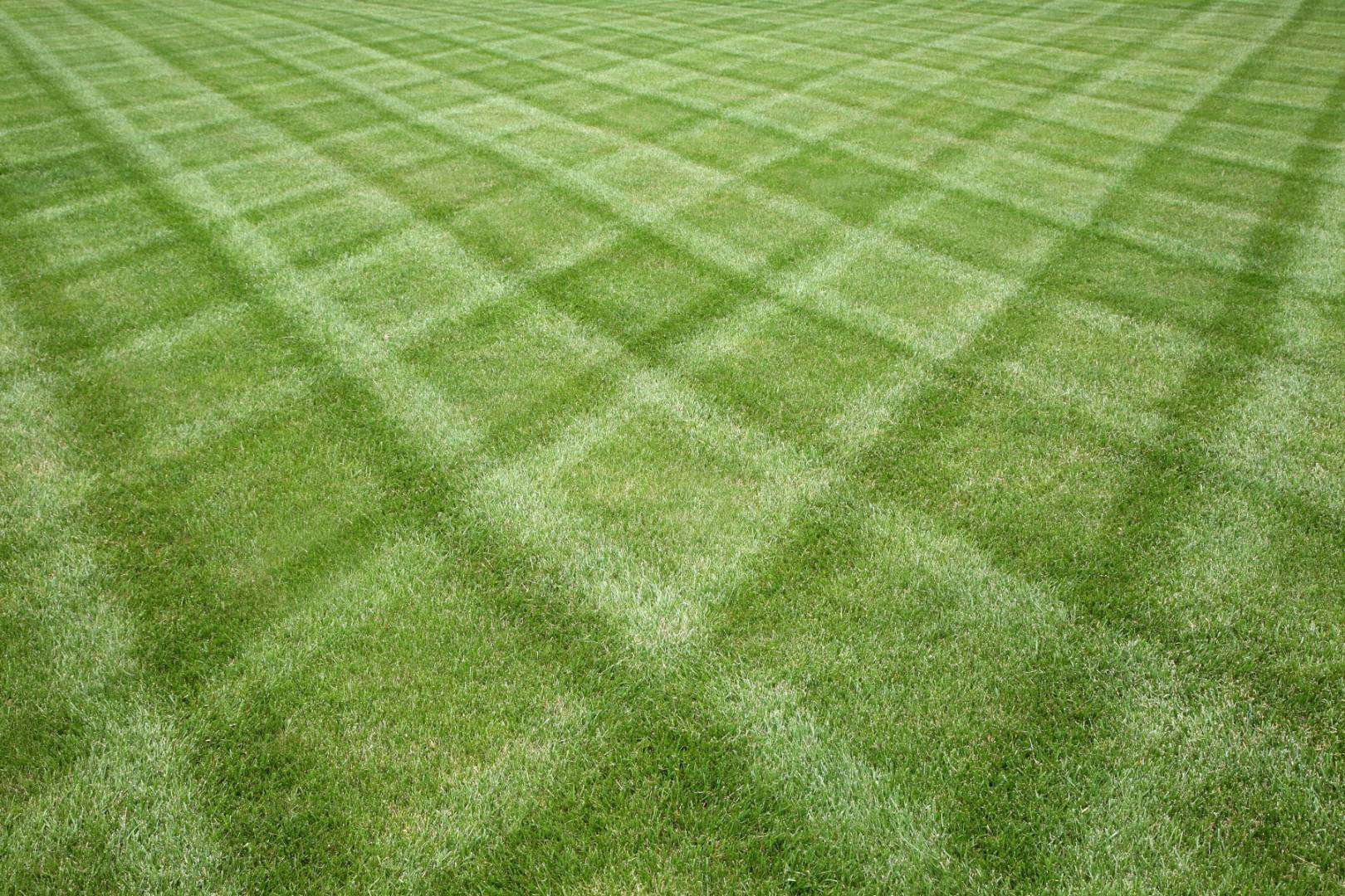 expert lawn mowing in Midlothian, Woodlake, and Brandermill, VA<br />
