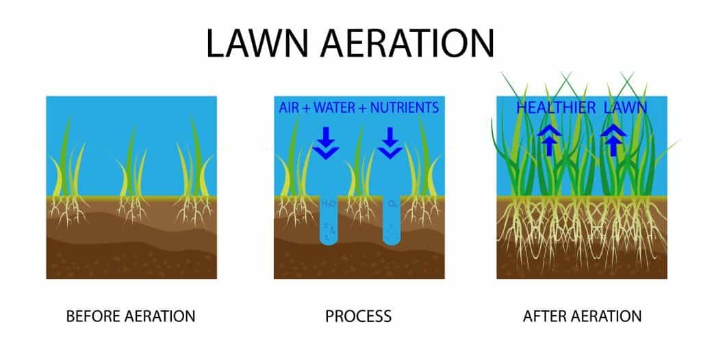 Aeration: An Introduction to the Three Types