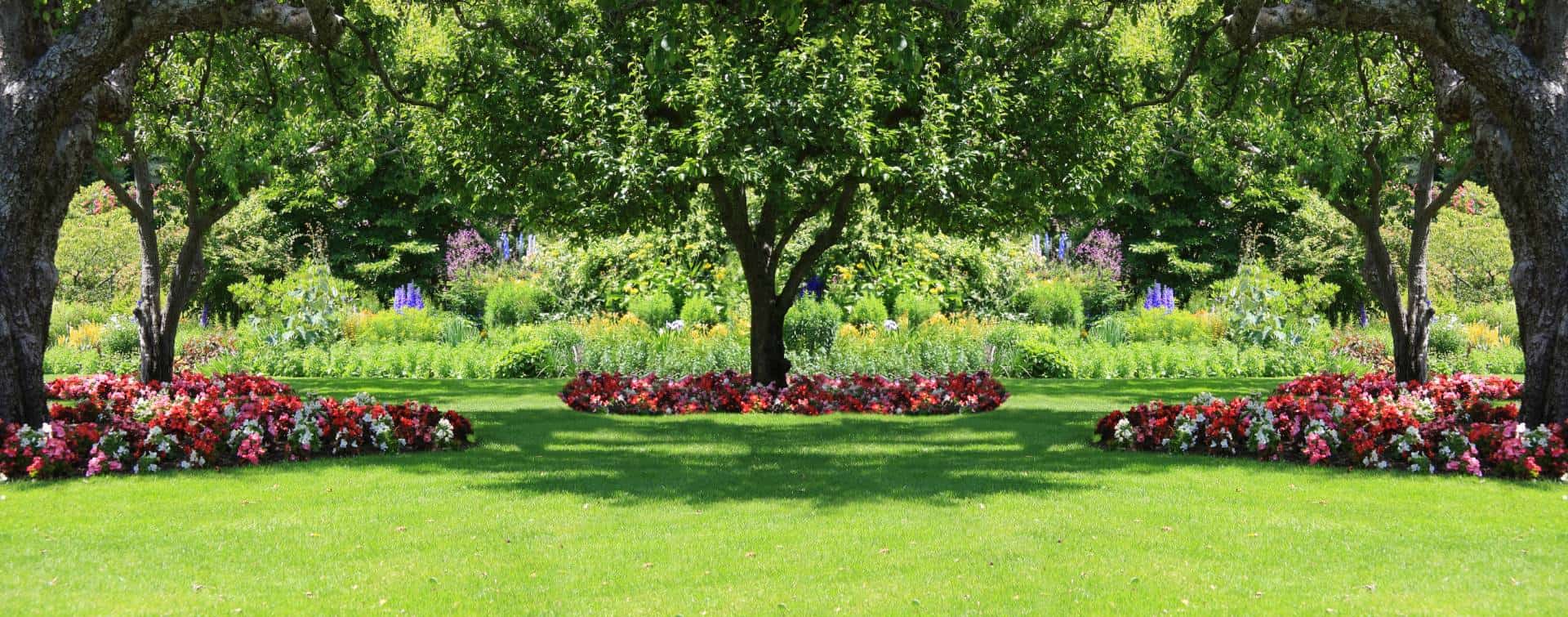 best landscaping services near me in Midlothian, Woodlake, and Brandermill