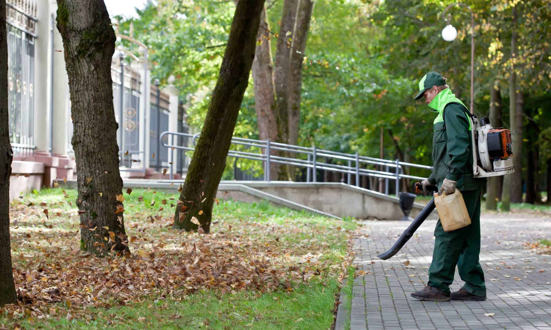 Virginia leaf removal service in Midlothian, Woodlake, and Brandermill<br />
