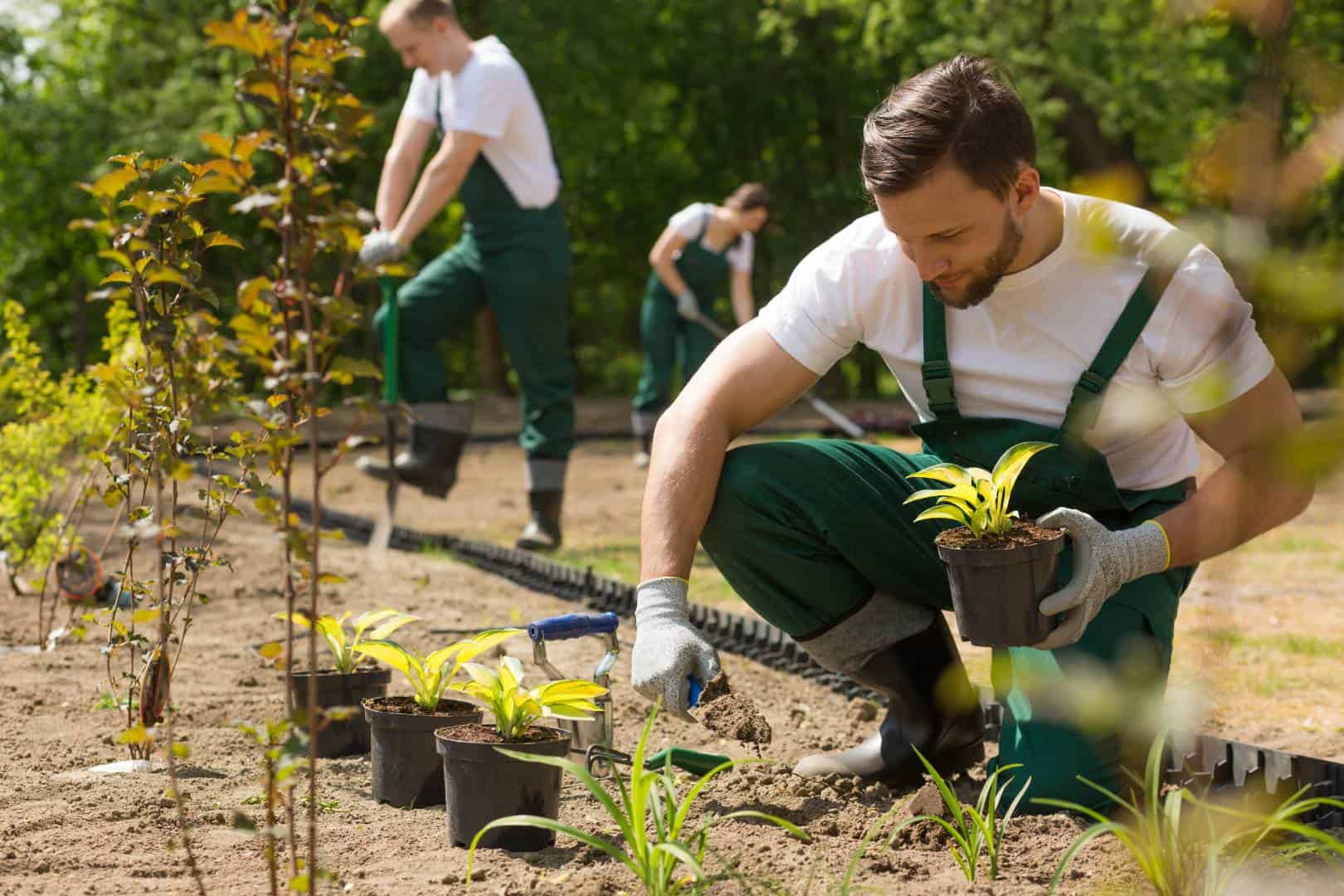 Chesterfield, Virginia, lawn mowing services, mulch installation, and lawn care<br />
