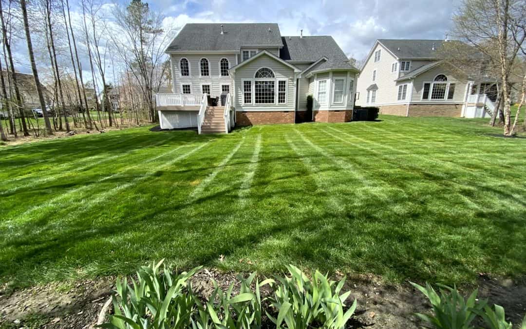 How Does Professional Lawn Mowing Help My Brandermill, VA, Home?