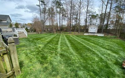 How to Clean and Maintain Your Lawn During Fall for a Healthy Yard Next Spring