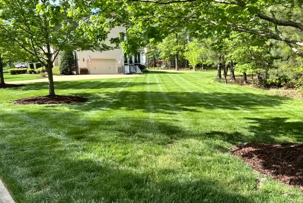 The Hidden Consequences of Not Raking Leaves: Why Ignoring Fall Foliage Can Cost You