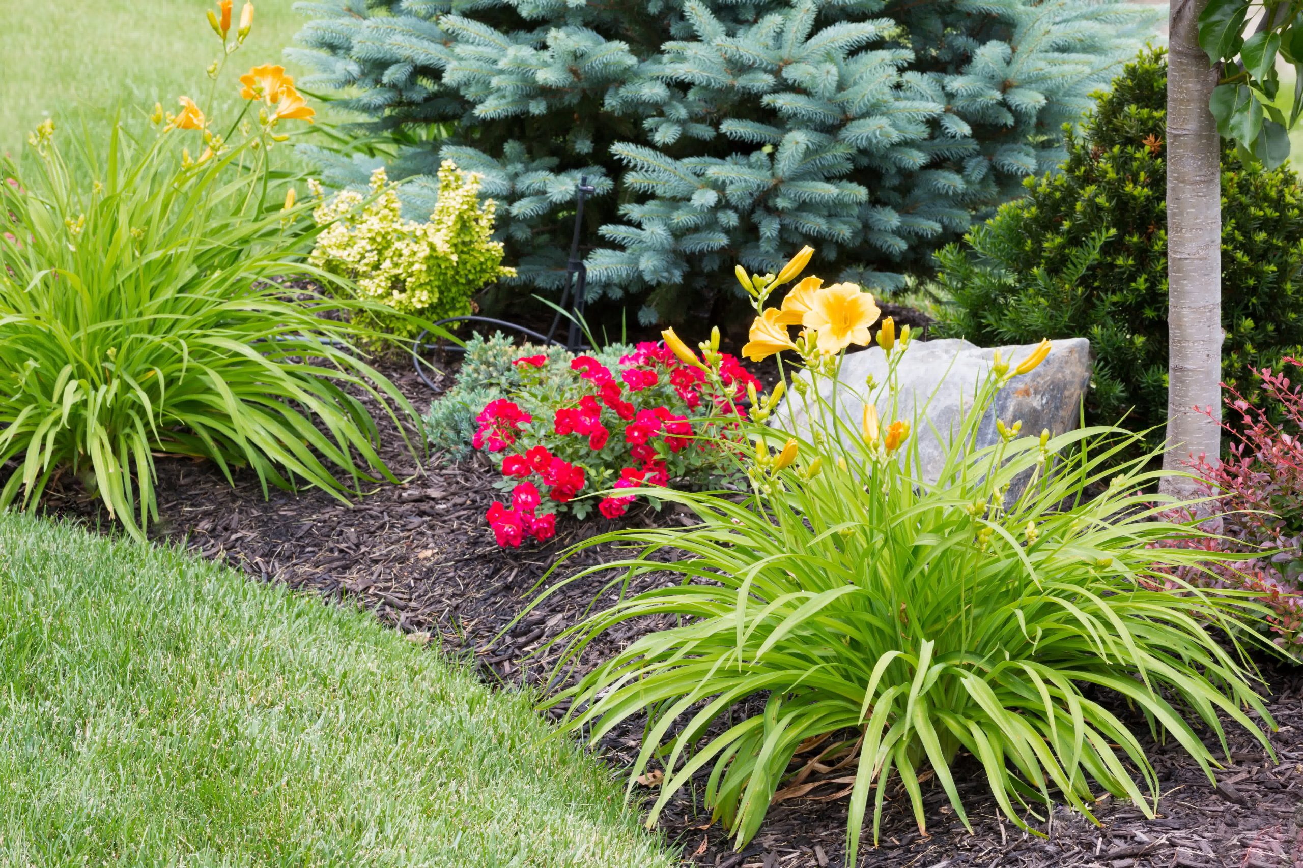 ekglawnservices-mulch-brandermill New flowers and plants along with fresh mulch can transform your yard.